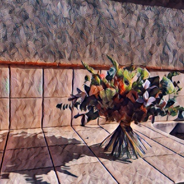 Aquest 2️⃣0️⃣2️⃣2️⃣
.
.
.
🌾Regala!
🌾Estima!
🌾Viu!
🌾Riu!
🌾…Ànima
.
.
.
#ànima #ànimadissenyfloral  #regalaestimaviuriuànima #regala #estima #viu #riu #ramdemà #ramo #ramo #bouquet #driedbouquet #freshbouquet #flores #flors #dissenyfloral #floraldesign #floraldesigner #florallive #floralstyle #floralstyling #floralfreelancer #dissenyfloral #diseñofloral #fetpermi #fetpertu